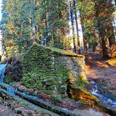 Matos Casas De Campo Cabeceiras de Basto Eksteriør billede