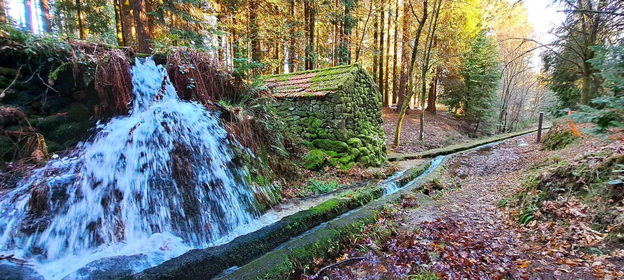 Matos Casas De Campo Cabeceiras de Basto Eksteriør billede